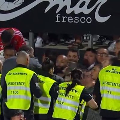 Adeptos do Benfica tentaram invadir o campo no final do jogo (VÍDEO)