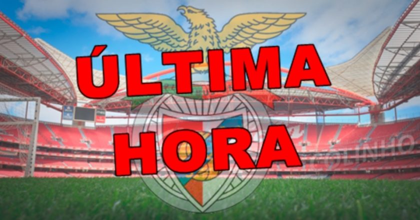 Benfica anunciou uma nova contratação para 2024/25
