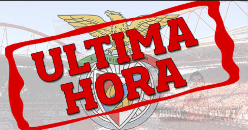 ÚLTIMA HORA: SAD do Benfica com resultados negativos superiores a 31 milhões de euros