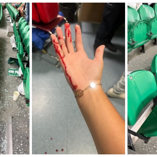Caos em Alvalade: adeptos do FC Porto ferem sportinguistas